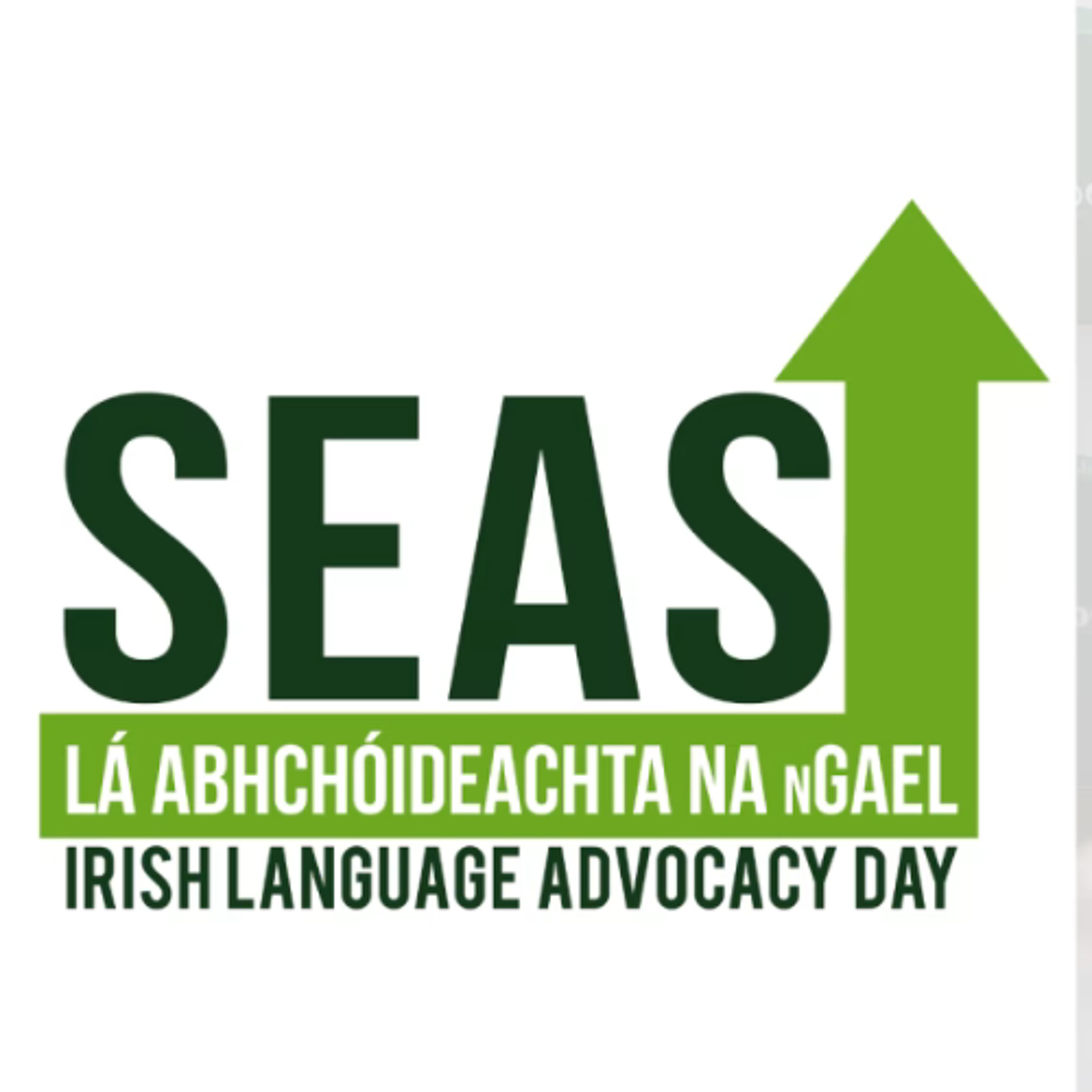 SEAS - Róisín Ní Chinnéide episode artwork