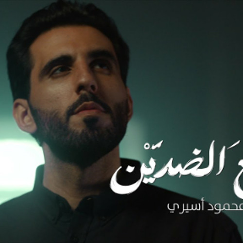 جامع الضدين - محمود أسيري | استشهاد الامام علي المرتضى ع  2024 م