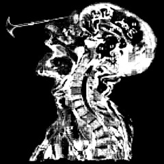 PARANOID SCHIZOPHRENIA - ØHAXY