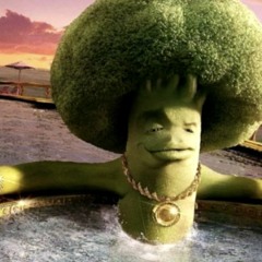 Trfavis Scott Type Yehnz