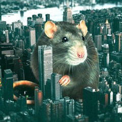 Rats will rule the World