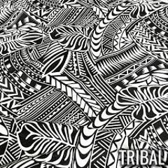 Tribal Vibes (Remixed)