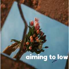 aiming to low