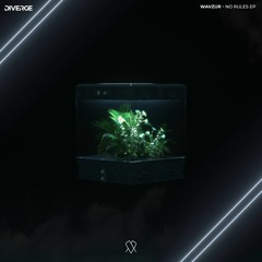 wavzur - Noob [No Rules EP]