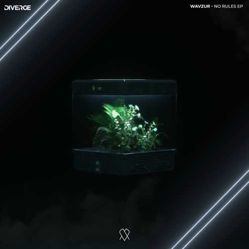 wavzur - Noob [No Rules EP]