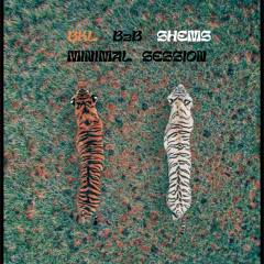 Last Minute Connection : B2B Session W/ Shems