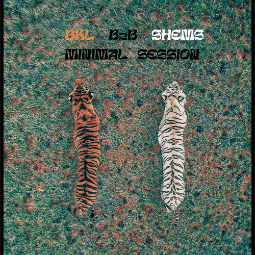 Last Minute Connection : B2B Session W/ Shems