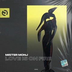 Mister Monj - Love Is on Fire