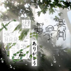 Luvtro - ornaments (p. agore)