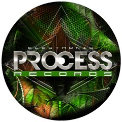 Electronic Process Records 12 - B1 Sekoia - Black Mamba