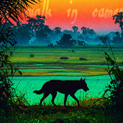 A pet walk in Camerun (orginal mix)