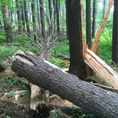 Sideways (Original) Steve, Vocals, Guitar. Adam, Guitar, Keys, Bass, Production. Brian, Lead Guitar.