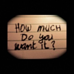 StevieJ - How Much Do You Want It? {Prod By Operation O}