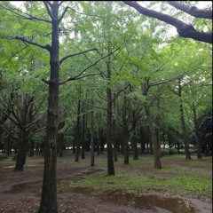 unfinished (ft.asstoro)