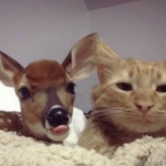 Bubble pop (feat.isse)