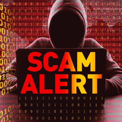 The Dark Side of Scam Marketing Firms
