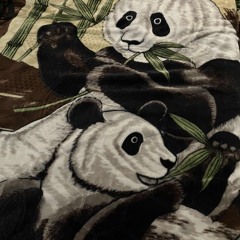 Hear my visions remix(Beat by Sakrafyce)