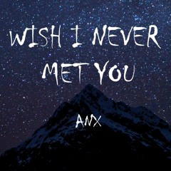 Wish I Never Met You - Joe FIsh
