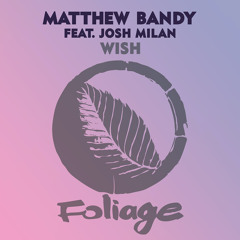 Wish (Frankie Feliciano Ricanstruction Vocal Mix) [feat. Josh Milan]
