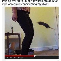 judge tryna lock me up, poopoo pee mcdonalds