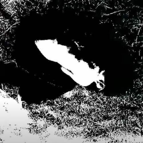dying rat stuck inside my liver (sewnfkt flip)