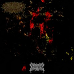 Metamorphous Disorder