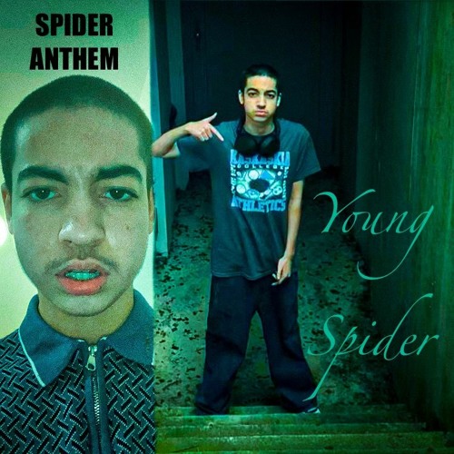 Stream Spider Anthem by youngspider | Listen online for free on SoundCloud
