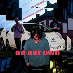 on our own ft ohprincesky & schizoe