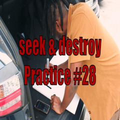 seek & destroy