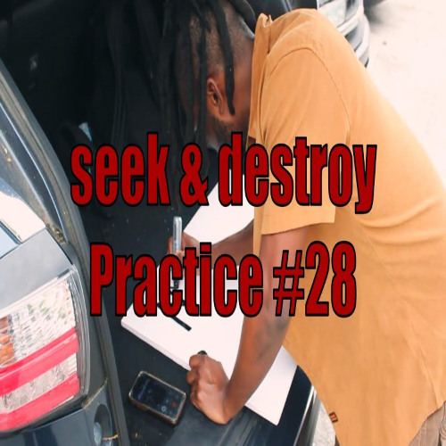 seek & destroy