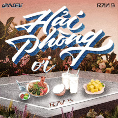 HẢI PHÒNG ƠI 2025 | Ran B x ONBI Remix