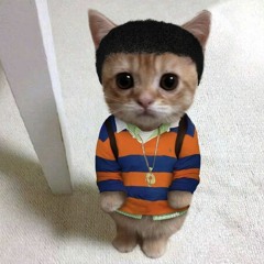 AC S3 EP4: LOFI CAT