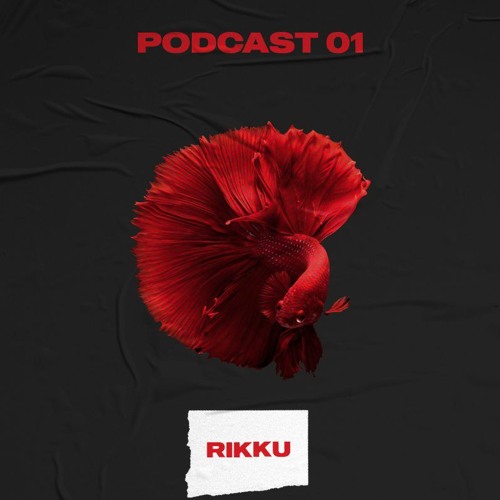 Podcast 01