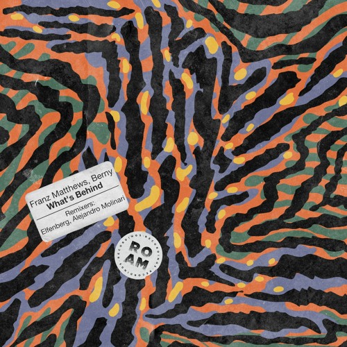 PREMIERE: Franz Matthews, Berny - What’s Behind [Roam Recordings]