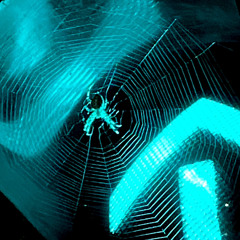 Tanz zu Schranz 🕷️