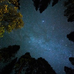 KOSTELLATION.026 | REVELSTOKE, BC