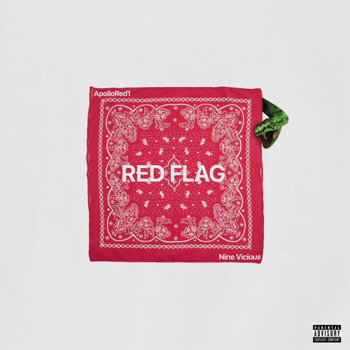 RedFlag (with Nine Vicious) [Prodby VonPerp]