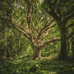 Nature Is Not Quiet