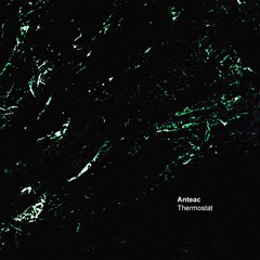 Anteac - Thermostat