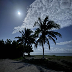 Im The One (prod.  A SIRIUS)