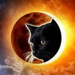 Total Eclipse of the Heart - Bonnie Tyler (Zunapalooza cover)