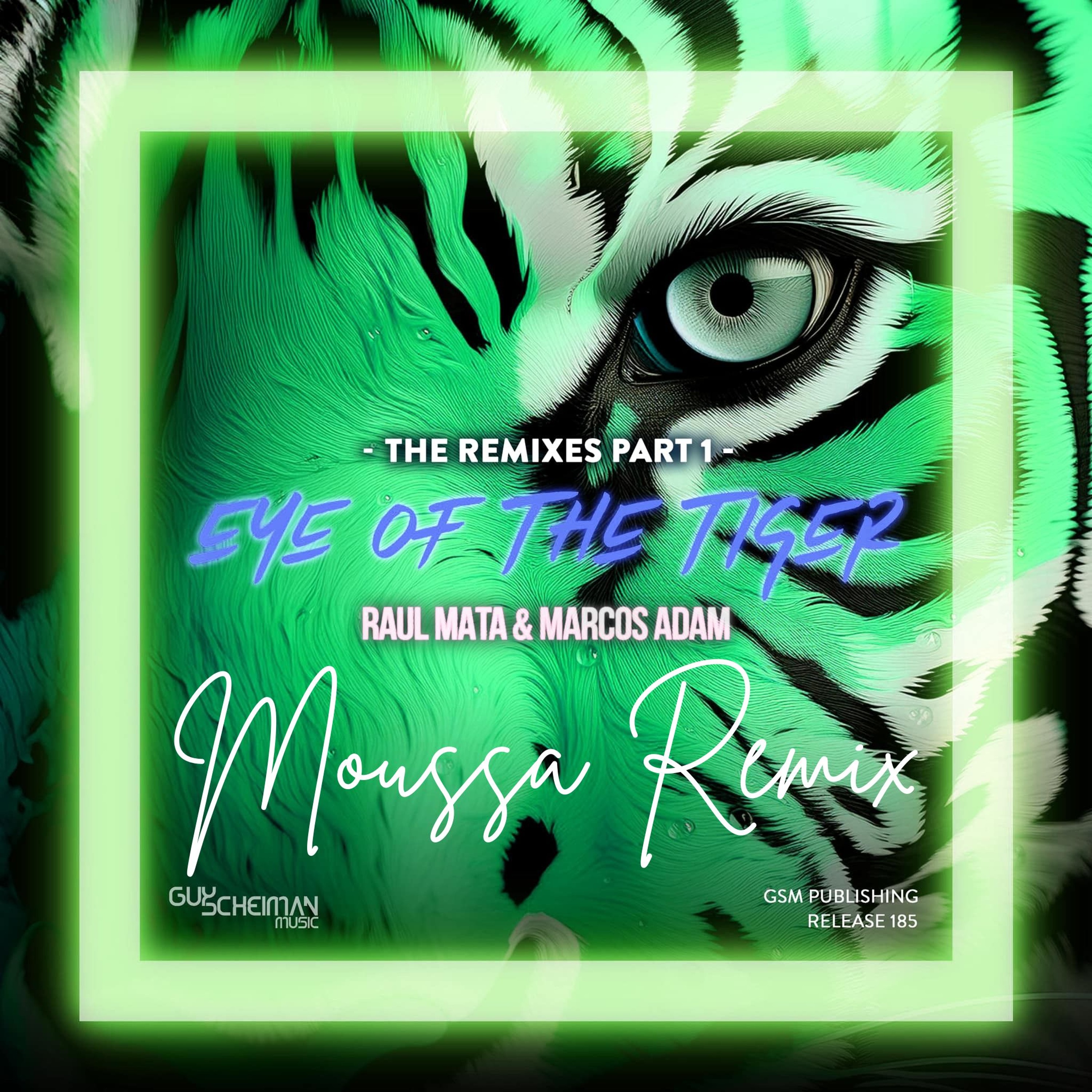 Raul Mata & Marcos Adam - Eye Of The Tiger (Moussa Remix) episode artwork