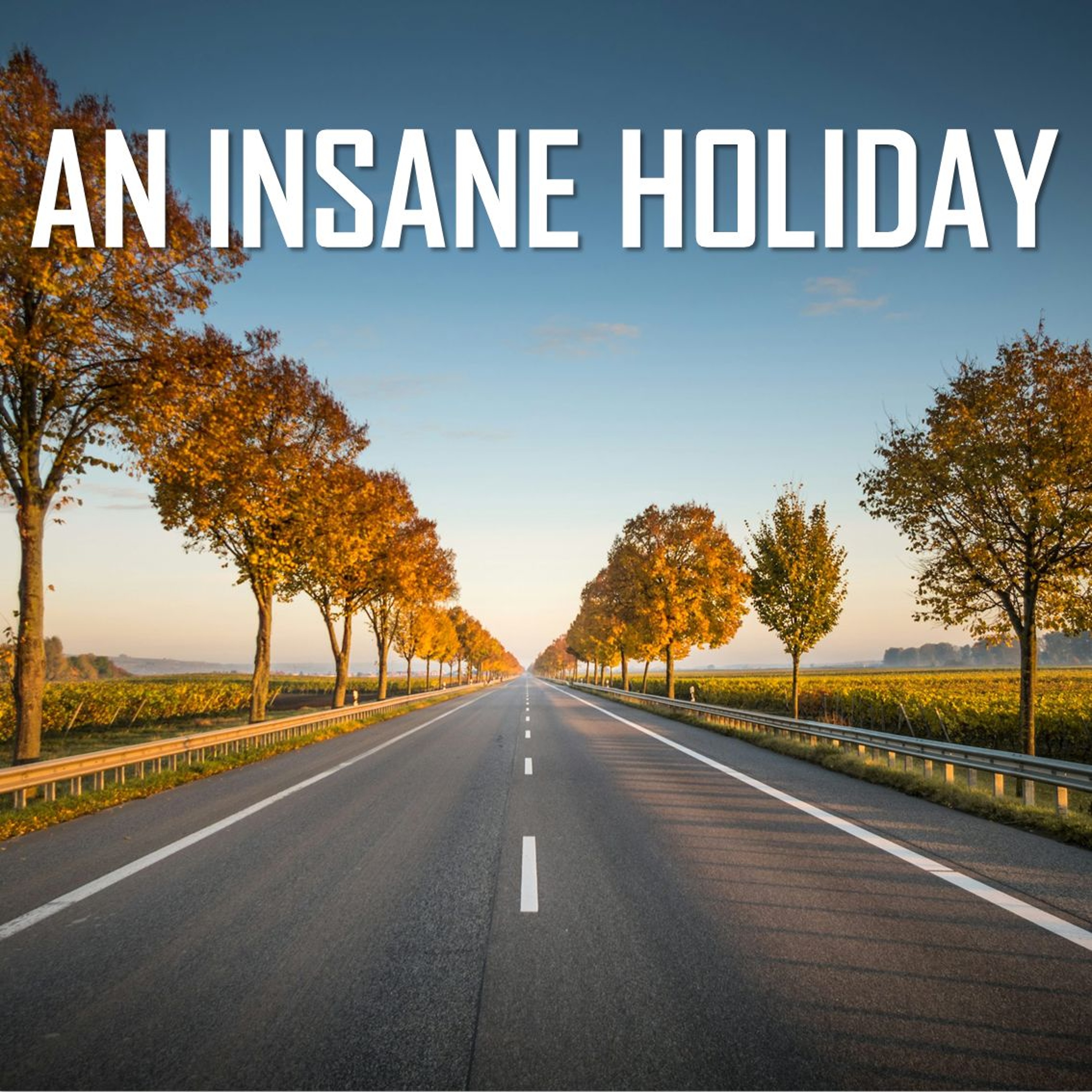 An Insane Holiday - Aishwarya, Qian, Isabella and Shance - St Brigid's School episode artwork