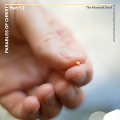 Voice Note For 20241014 - The Mustard Seed - Parables Of Christ - Part 12
