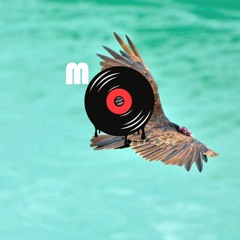 THEMARVSOUND - VULTORES