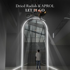 Dried Radish & APROL- Let it go