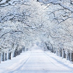 Is it cold outside?