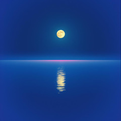 The Night