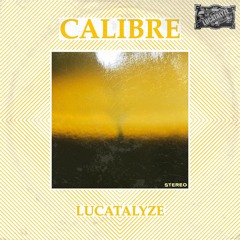 Calibre Preview
