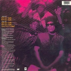 Aaron Hall & Redman | Curiosity (1995) Marley Marl Mix